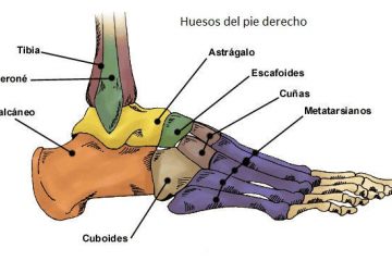 Osteopatía del pie